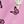 Butterfly Pink