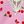 Cherry Pink