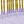 Purple Gold