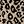 Black Grey Leopard