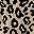 Black Grey Leopard
