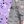 Purple Heart Blue