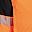 Orange And Black