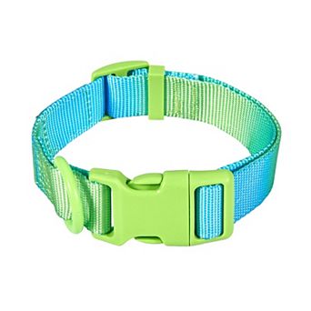 Pink Papyrus Alexandria Nylon Dog Collar