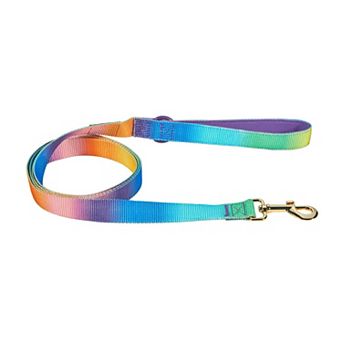 Pink Papyrus Nola Nylon Dog Leash