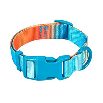 Pink Papyrus Beau Nylon Dog Collar