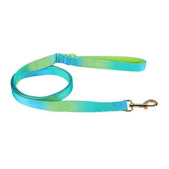 Pink Papyrus Alexandria Nylon Dog Leash