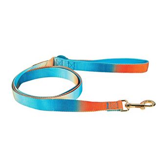 Pink Papyrus Beau Nylon Dog Leash