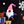 Gnome Christmas Combo