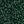 Tinsel Clover Combo