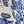 Palm Fronds Blue