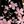 Pink Black
