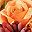 Red Yellow