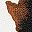 Brown Cow Print