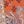 Navy Rust