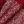 Burgundy Red