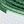 White Green