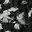Black White