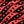 Black Red