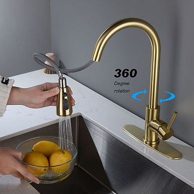 Single-Handle Pull-Down Kitchen Faucet with Temperature Control and Spray Options