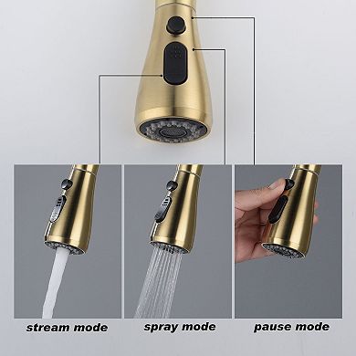 Single-Handle Pull-Down Kitchen Faucet with Temperature Control and Spray Options