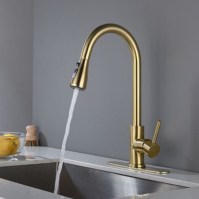 Single-Handle Pull-Down Kitchen Faucet with Temperature Control and Spray Options