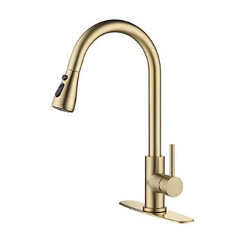 Single-Handle Pull-Down Kitchen Faucet with Temperature Control and Spray Options