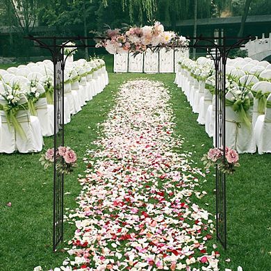 Outdoor Garden Arbor Flat Top Arch Trellis for Climbing Plants Lawn Path
