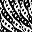 Black White