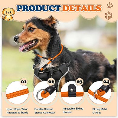 1Pc Choke Collar for Dogs, No Pull Training