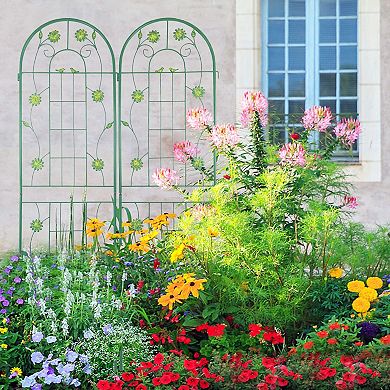 2 Pack Metal Climbing Plant Trellis for Garden Vines and Flowers