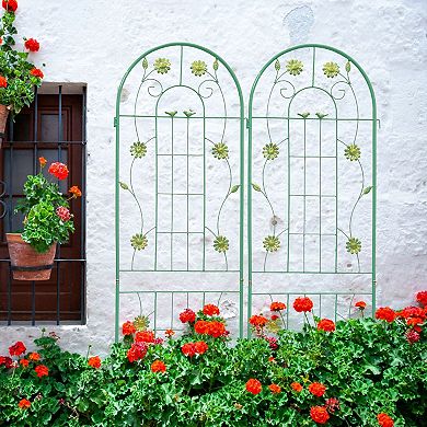 2 Pack Metal Climbing Plant Trellis for Garden Vines and Flowers