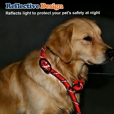 2Pcs Slip Collar for Dogs, Choke Collar for Dogs, Adjustable Stopper