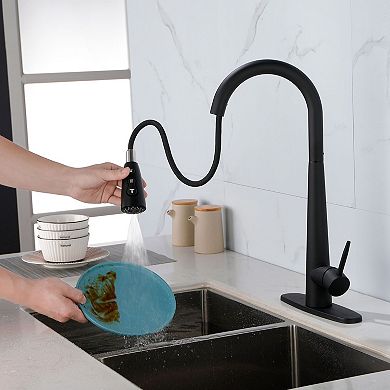 Single-Handle Stainless Steel Kitchen Faucet with Pull-Out Hose for DIY Install
