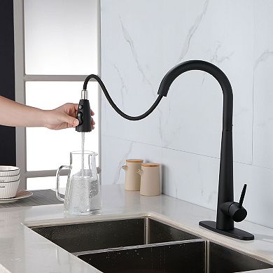 Single-Handle Stainless Steel Kitchen Faucet with Pull-Out Hose for DIY Install