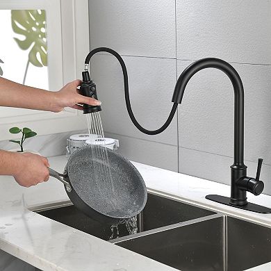 Stainless Steel Kitchen Faucet Pull Down Sprayer High Arc Single Handle