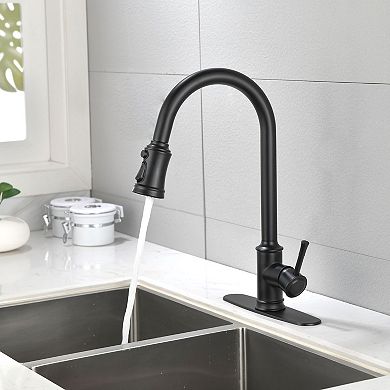 Stainless Steel Kitchen Faucet Pull Down Sprayer High Arc Single Handle