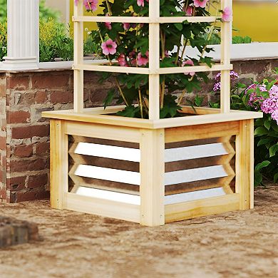 Raised Garden Bed with Removable Trellis for Climbing Plants and Vegetables