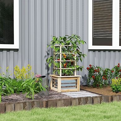 Raised Garden Bed with Removable Trellis for Climbing Plants and Vegetables