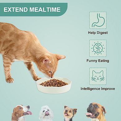 Ceramic Slower Food Feeding Bowl for Small and Medium Dogs 1 Pc