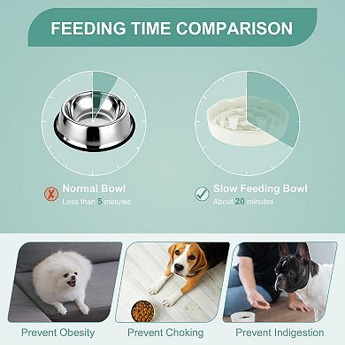 Ceramic Slower Food Feeding Bowl for Small and Medium Dogs 1 Pc