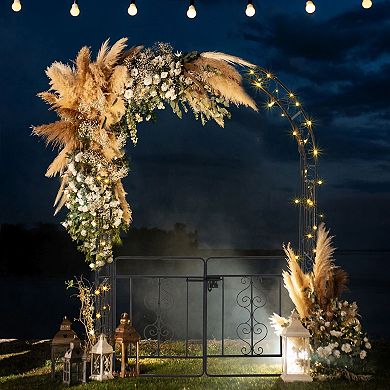 Garden Arbor Arch Trellis with Gate Double Layer Roof for Patio Pathway