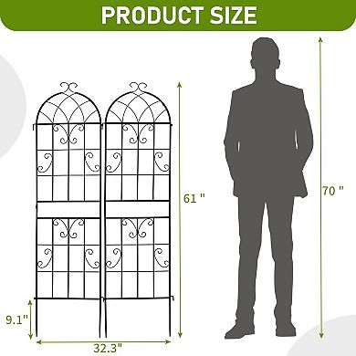 2 Pack Iron Garden Trellis for Climbing Vines, Flowers, Roses, and Vegetables