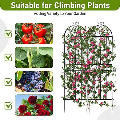 2 Pack Iron Garden Trellis for Climbing Vines, Flowers, Roses, and Vegetables