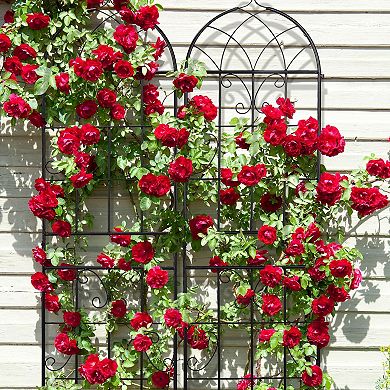 2 Pack Iron Garden Trellis for Climbing Vines, Flowers, Roses, and Vegetables