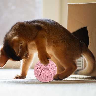 Interactive Cat Balls for Playtime Fetch 3.94" Diameter