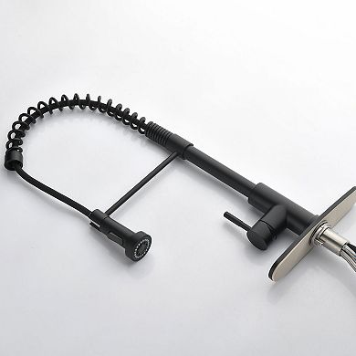 Pull Down Spring Kitchen Faucet Single Handle Dual Spray Modes