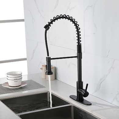 Pull Down Spring Kitchen Faucet Single Handle Dual Spray Modes
