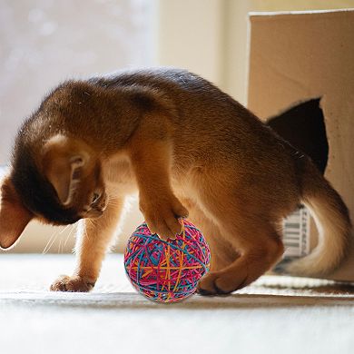 Cat Playing Ball with Bell Inside 3.94" Diameter 1Pc