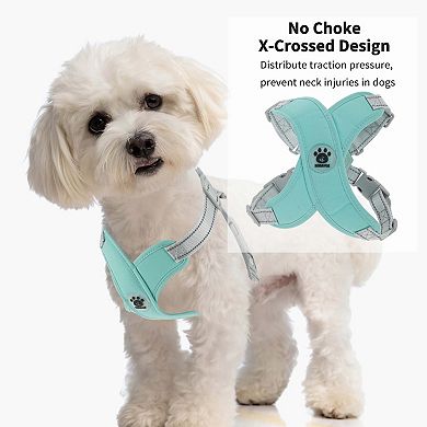 Dog Harness with Dog Leash for Small Medium Dogs 1 Set 2Pcs